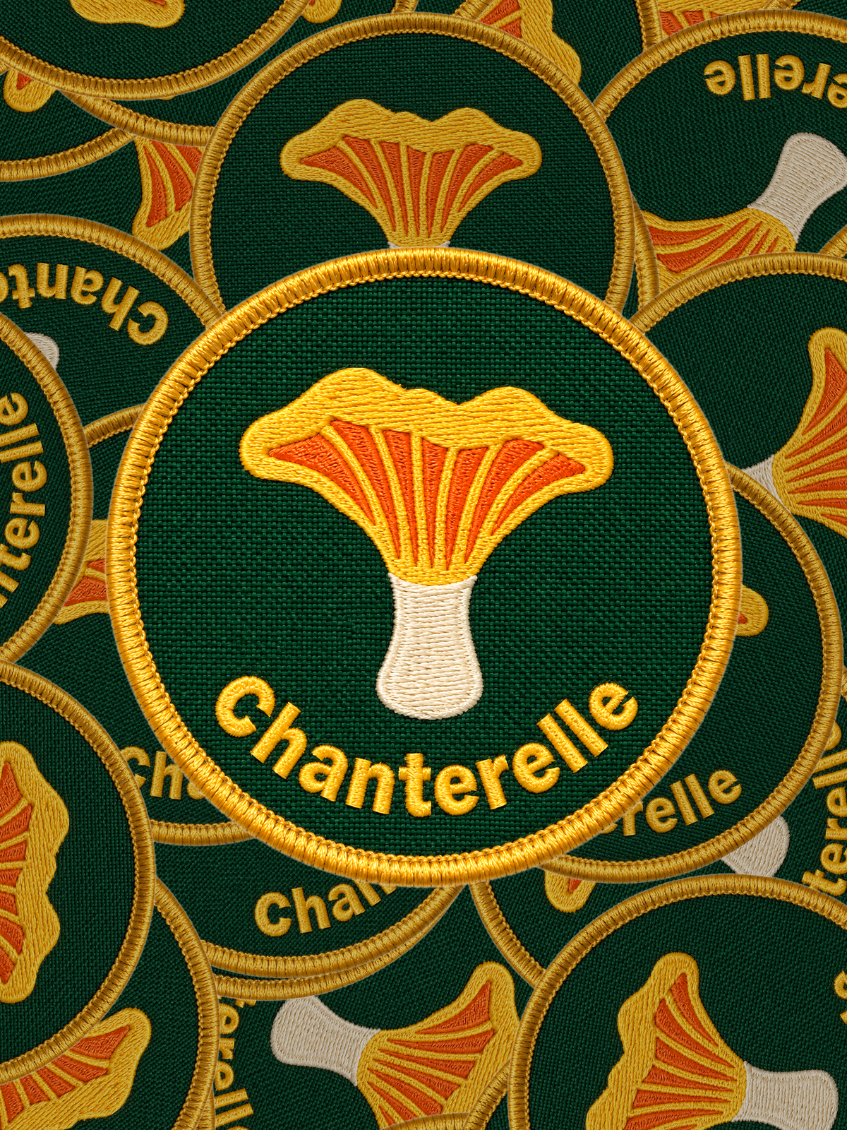 Chanterelle Mushroom Patch Pile