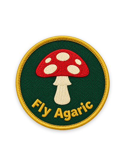 Fly Agaric Mushroom Patch Photo