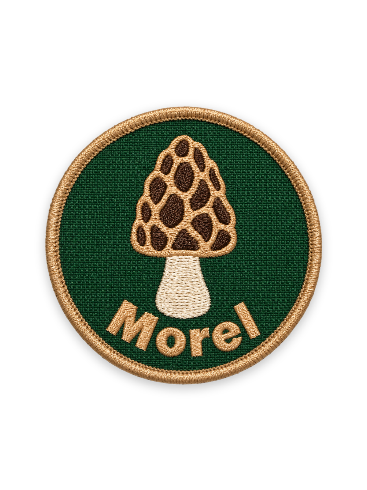 Morel Mushroom Patch Photo