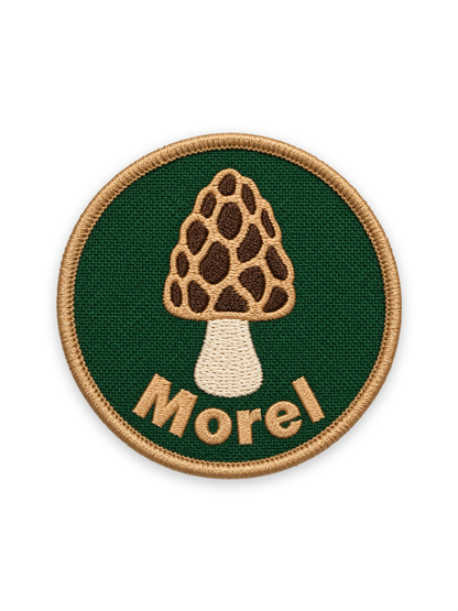 Morel Mushroom Patch Photo