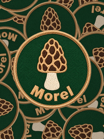Morel Mushroom Patch Pile
